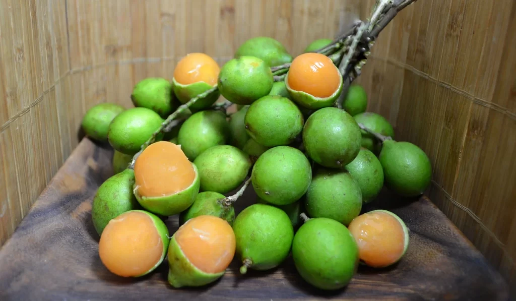 Le fruit Quenette de Martinique
